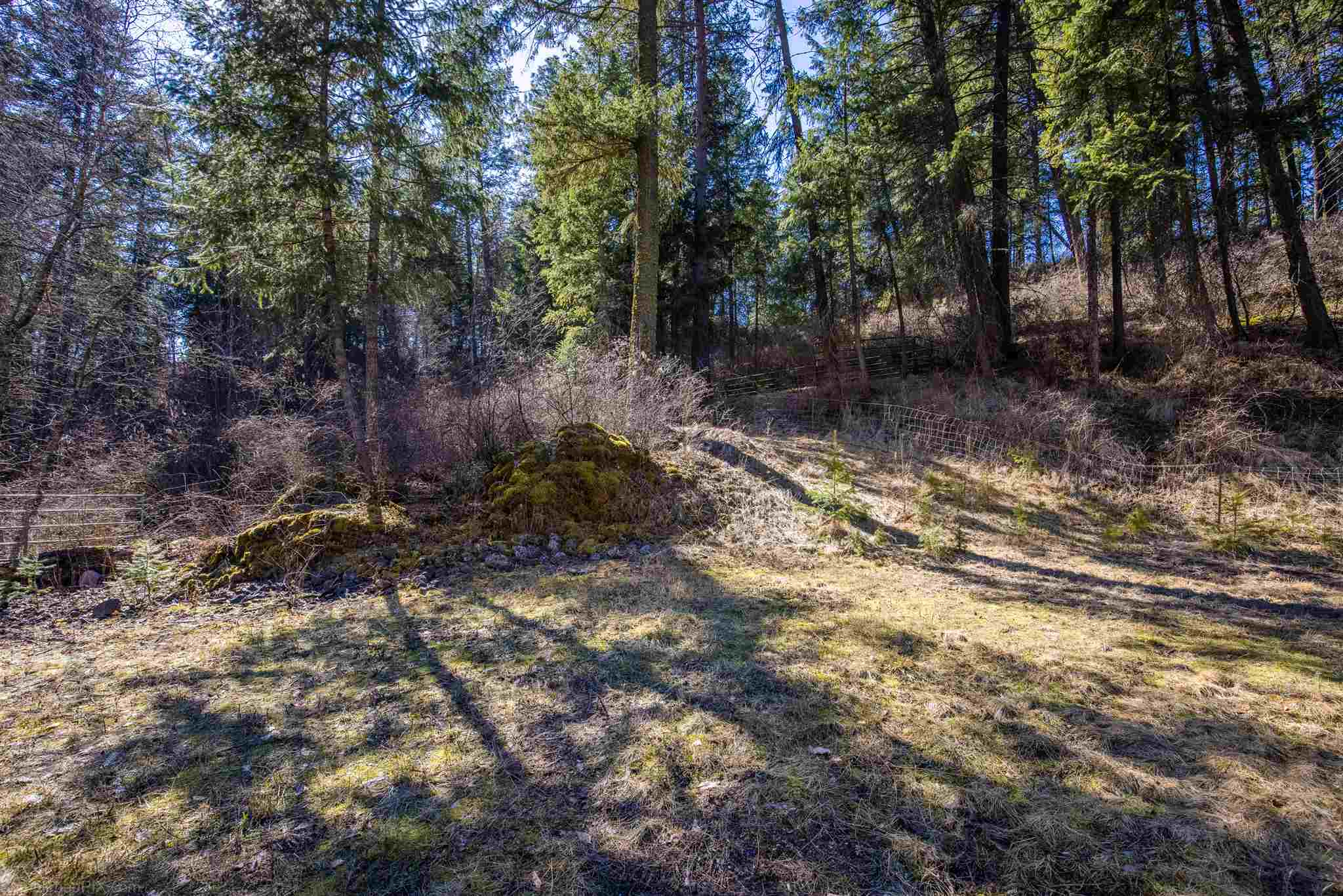 16909 North Dunn Road Mead, WA 99021 - Photo 6 of 6