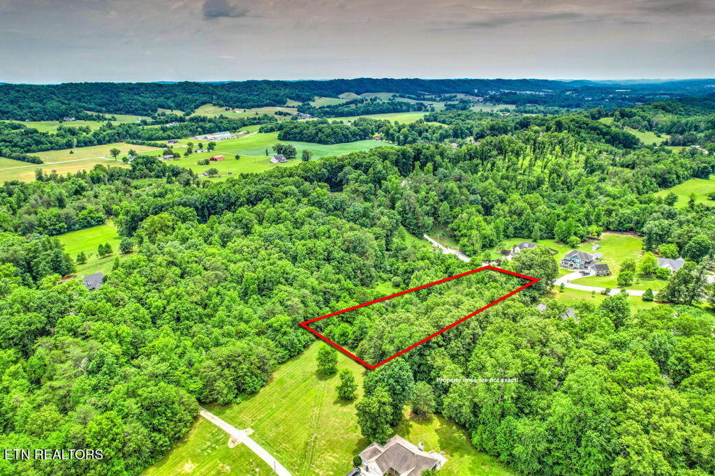 Stone Ridge Drive Andersonville, TN 37705 - Photo 11 of 19 83