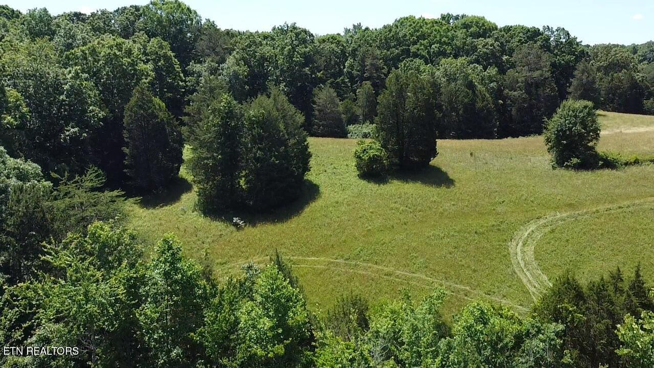 662 Cedar Grove Road Loudon, TN 37774 - Photo 11 of 23 C204F3FC-F582-4E86-84E3-FFE01E4E102C_1_1