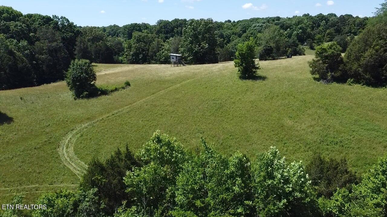 662 Cedar Grove Road Loudon, TN 37774 - Photo 12 of 23 130ECABA-DCDD-4D9B-940C-40A8EE5A0A02_1_1