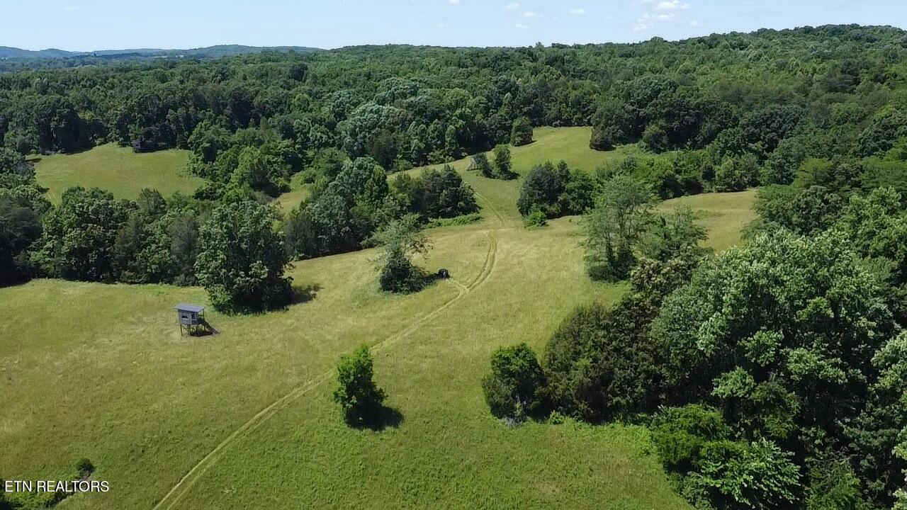 662 Cedar Grove Road Loudon, TN 37774 - Photo 13 of 23 351D25C3-8AC5-45B4-8F08-2C29BAC91731_1_1