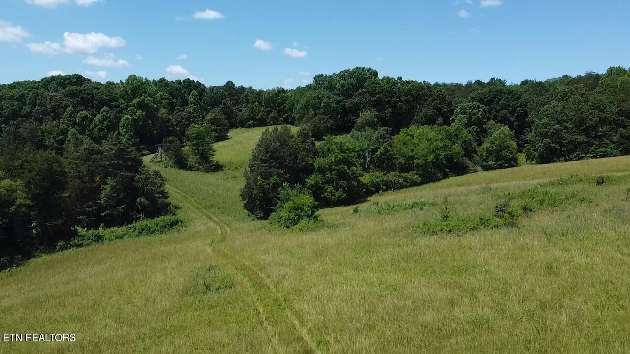 662 Cedar Grove Road Loudon, TN 37774 - Photo 17 of 23 D774ECBD-809E-4E73-834C-58DB0FB2524B_1_1