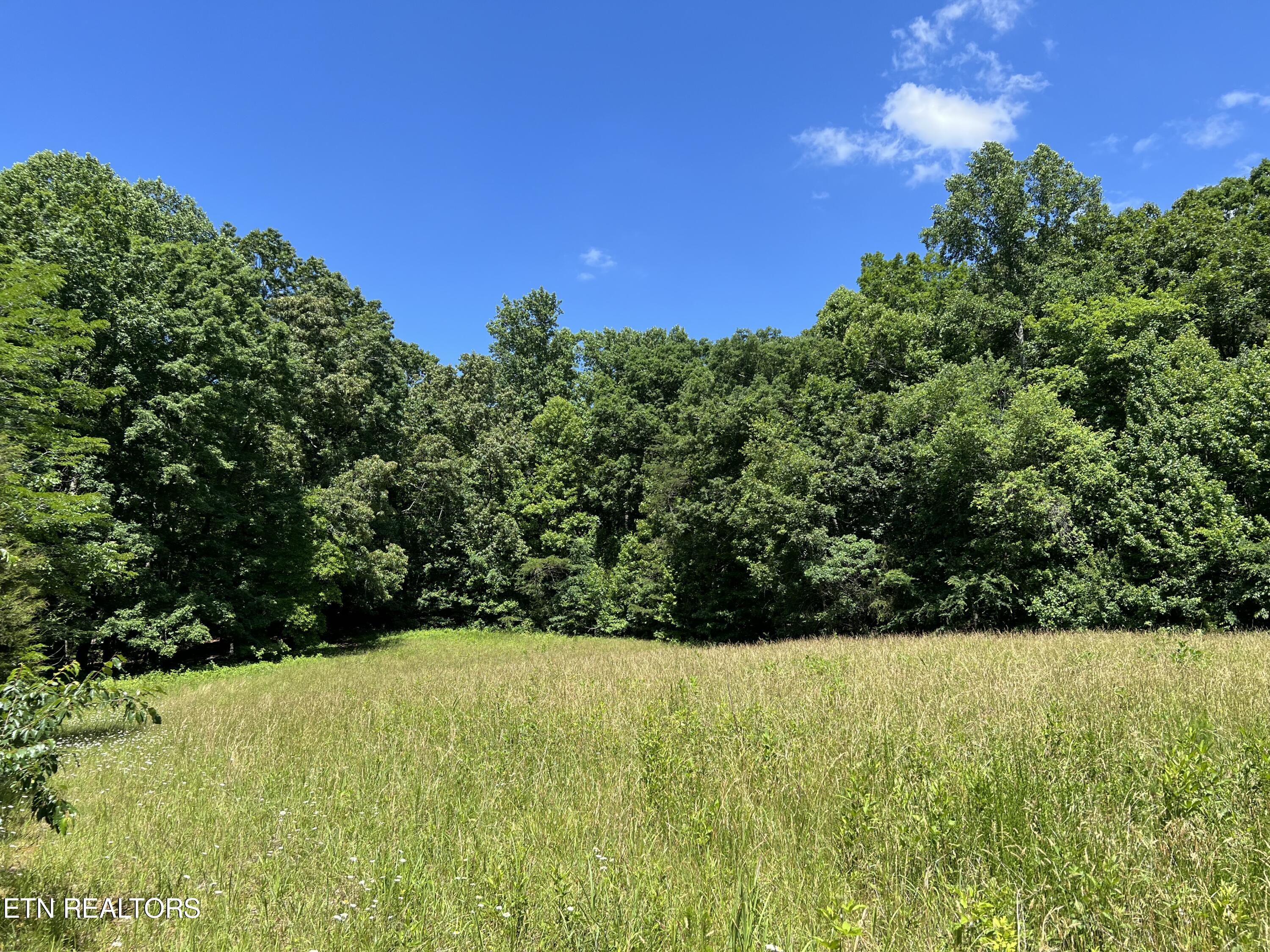 662 Cedar Grove Road Loudon, TN 37774 - Photo 20 of 23 IMG_1634