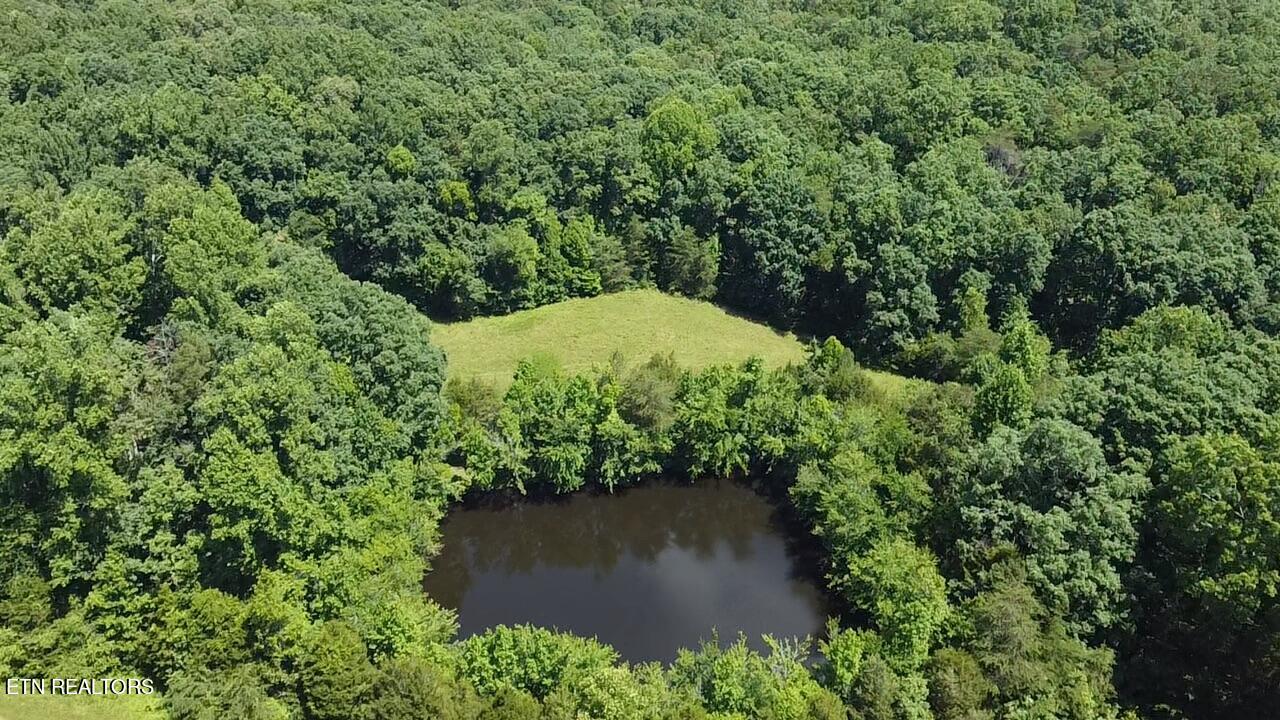 662 Cedar Grove Road Loudon, TN 37774 - Photo 2 of 23 80C37DE7-DDF5-458B-8E16-428CECAA32A2_1_1