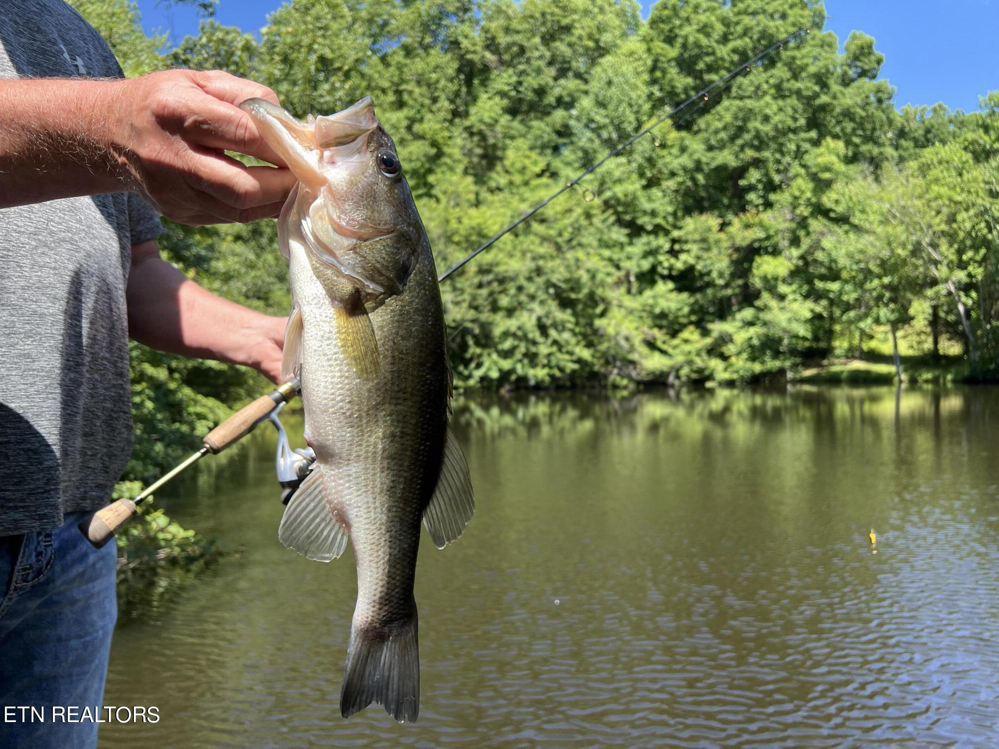 662 Cedar Grove Road Loudon, TN 37774 - Photo 23 of 23 IMG_1631