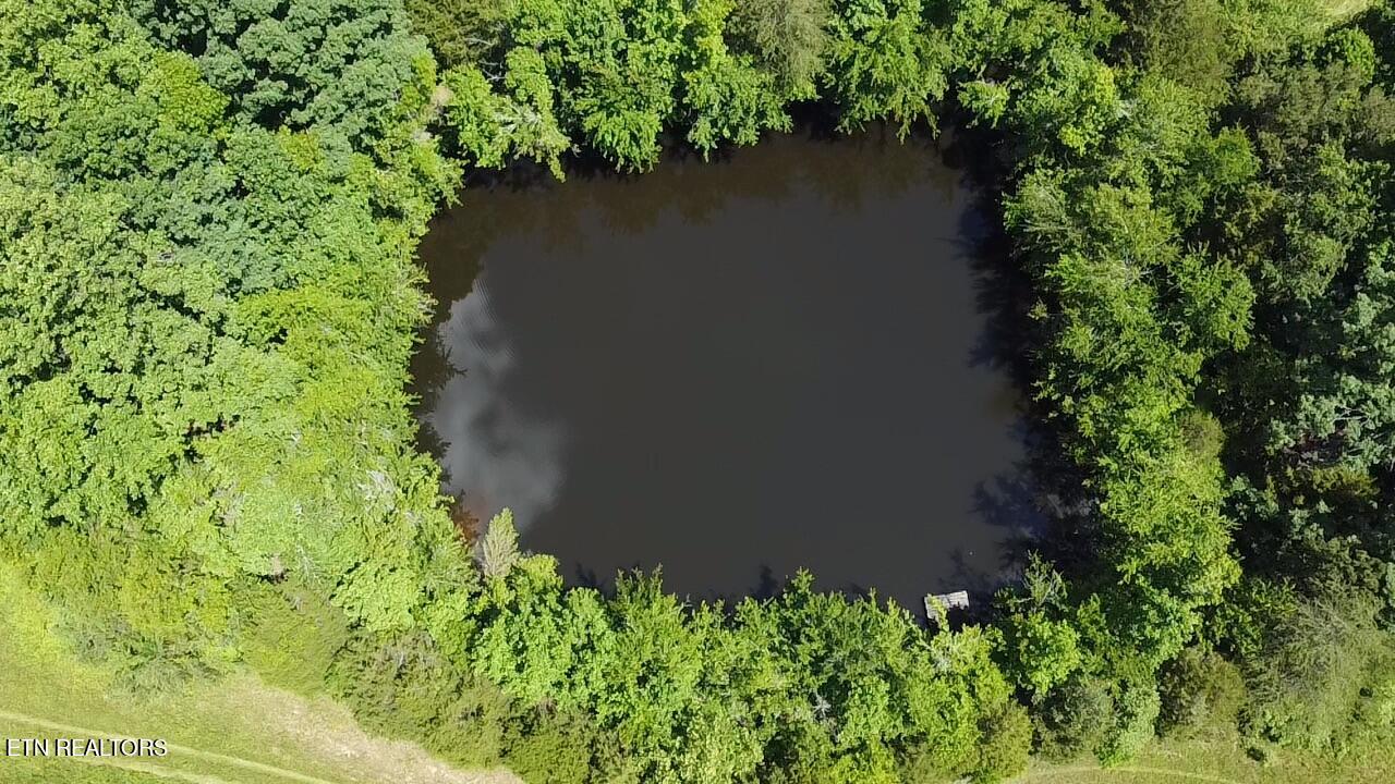 662 Cedar Grove Road Loudon, TN 37774 - Photo 4 of 23 5FAD3E79-F2DC-4687-8FF3-62E876E18676_1_1