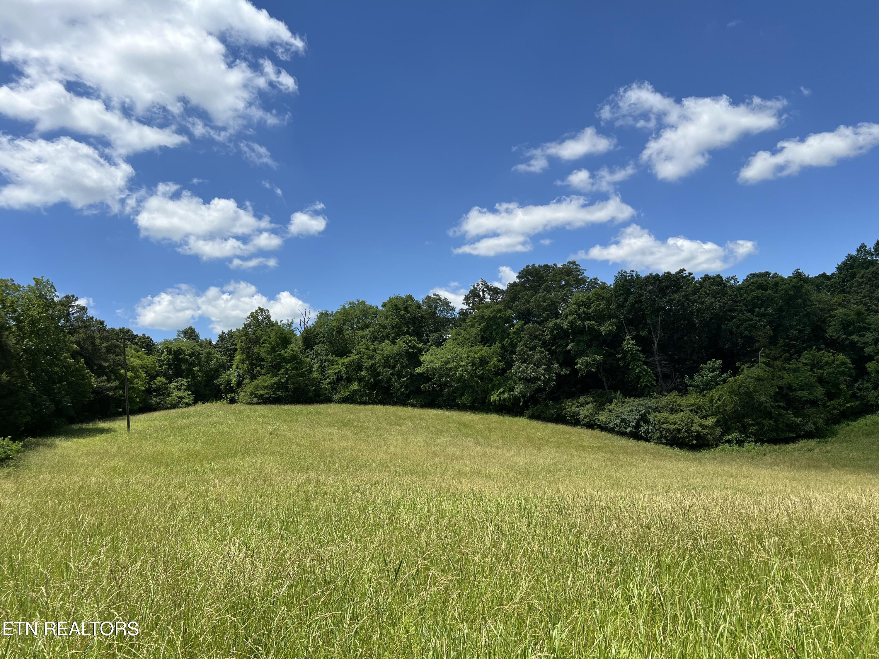 662 Cedar Grove Road Loudon, TN 37774 - Photo 5 of 23 IMG_1657