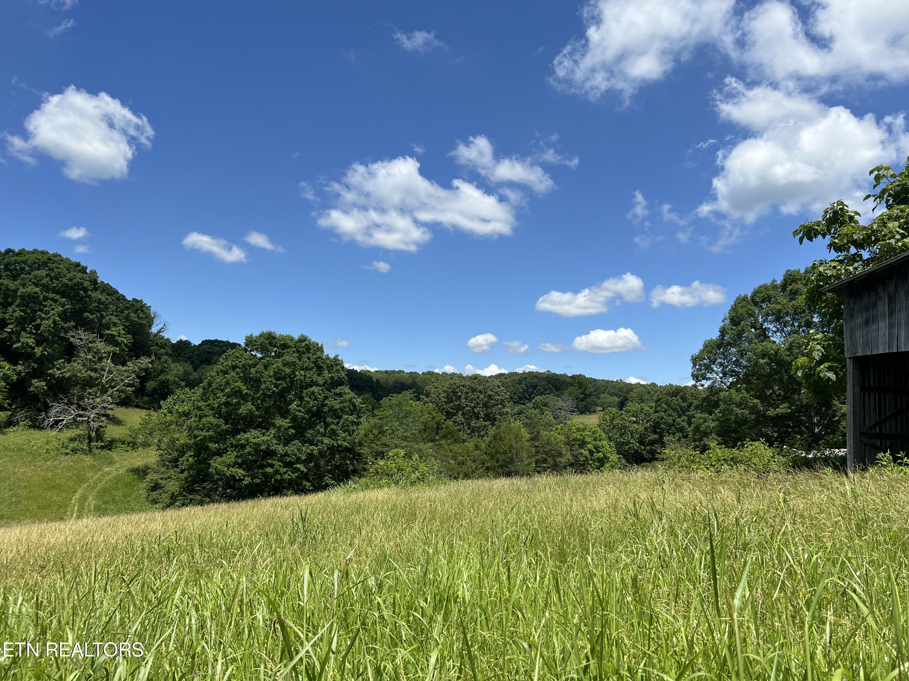 662 Cedar Grove Road Loudon, TN 37774 - Photo 6 of 23 IMG_1658