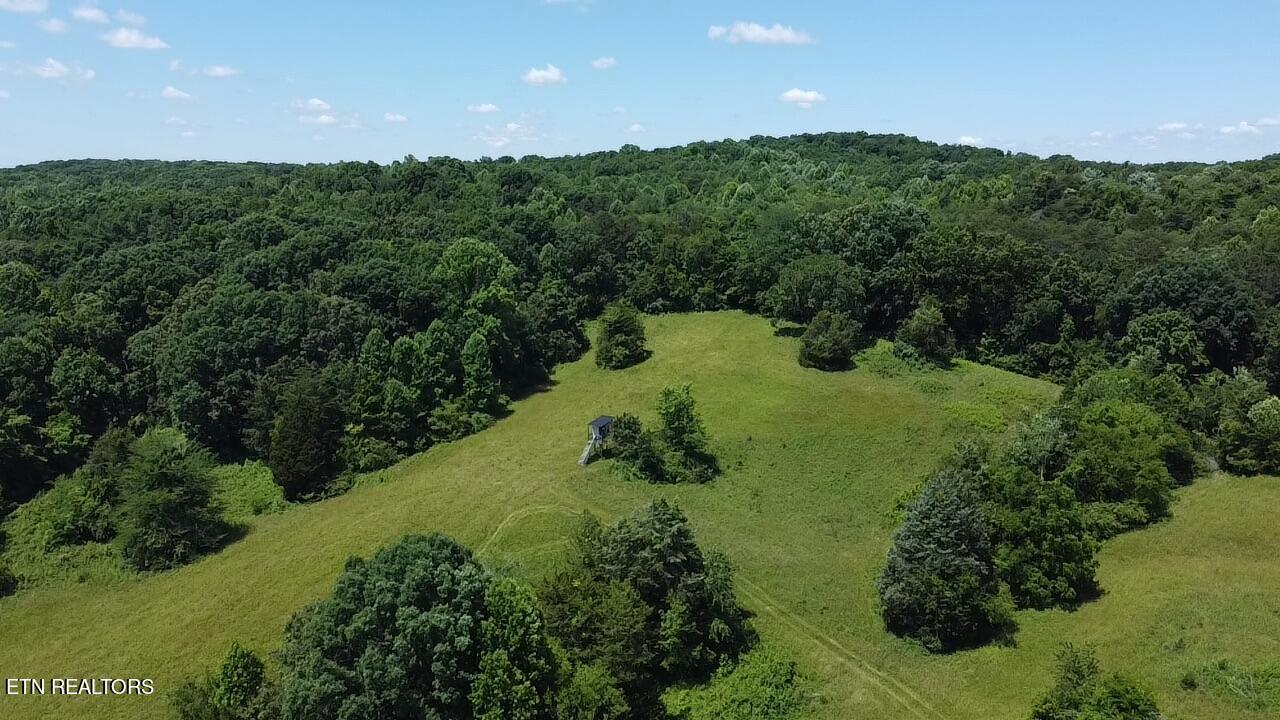 662 Cedar Grove Road Loudon, TN 37774 - Photo 7 of 23 D740E4A8-B180-4256-AF67-C36D8671A517_1_1