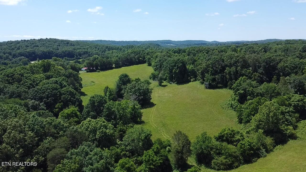 662 Cedar Grove Road Loudon, TN 37774 - Photo 8 of 23 E8372082-3F93-455E-ABF4-652E872F842B_1_1