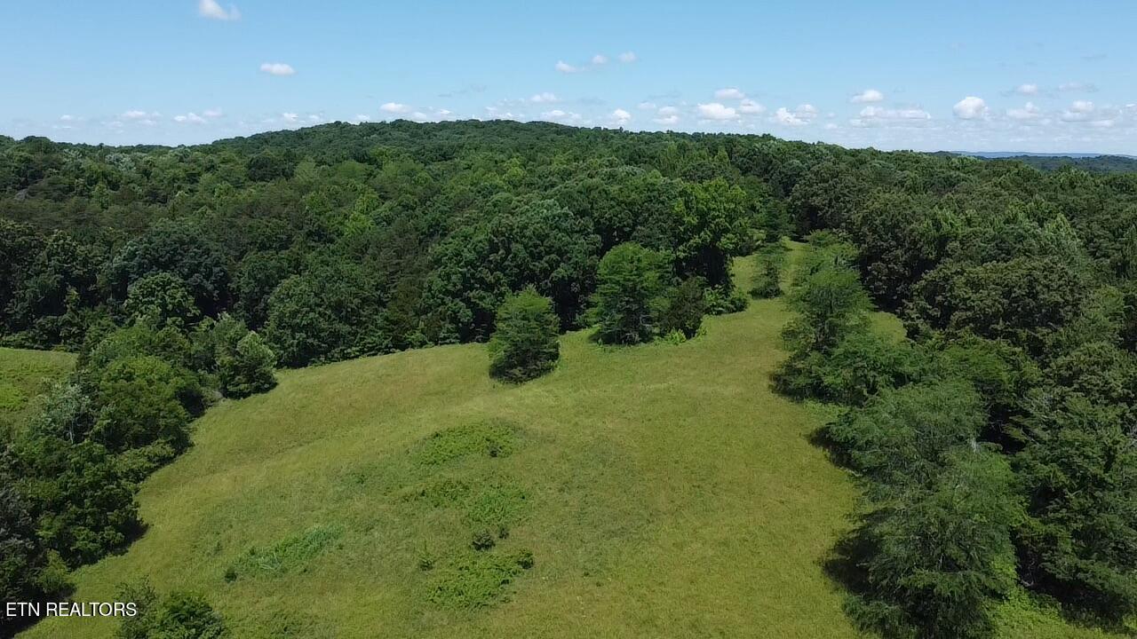 662 Cedar Grove Road Loudon, TN 37774 - Photo 9 of 23 98BED6F6-2B42-4A86-AEFA-D8E9C9C7EA09_1_1