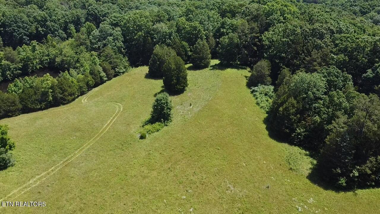 662 Cedar Grove Road Loudon, TN 37774 - Photo 10 of 23 1E94FECE-A356-46E7-AED4-E3E5698E285F_1_1