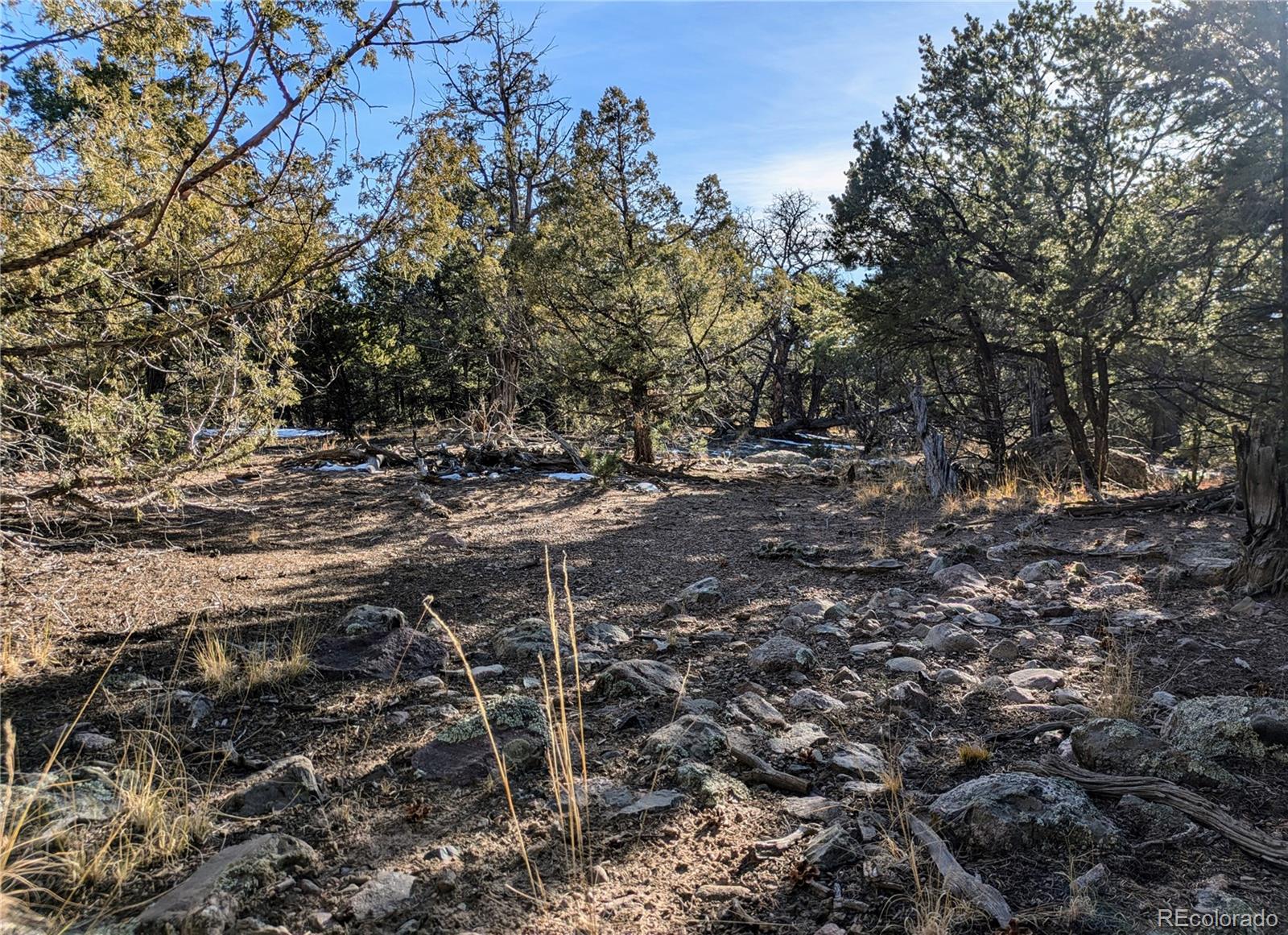 1284 Echo Point Crestone, CO 81131 - Photo 7 of 11 a view of an outdoor space