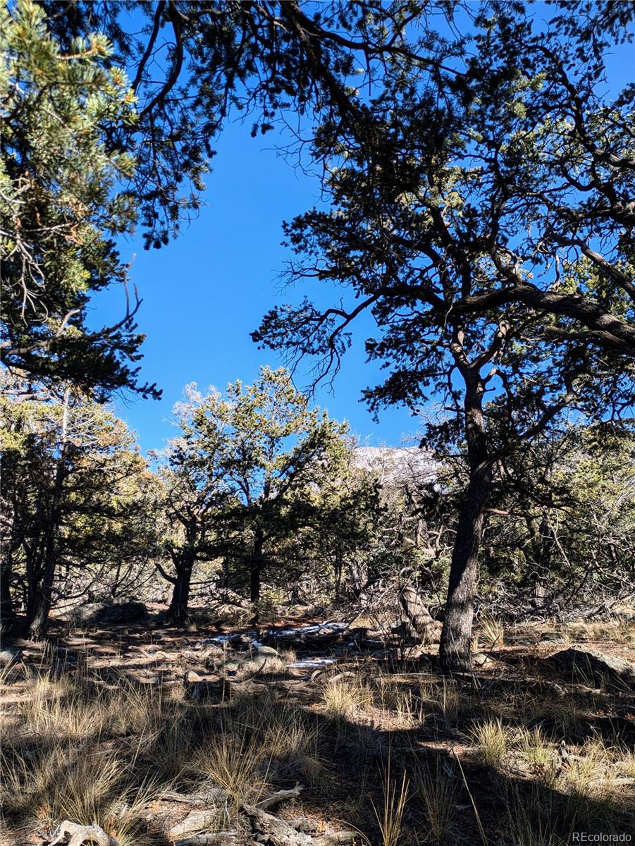 1284 Echo Point Crestone, CO 81131 - Photo 9 of 11 a view of outdoor space