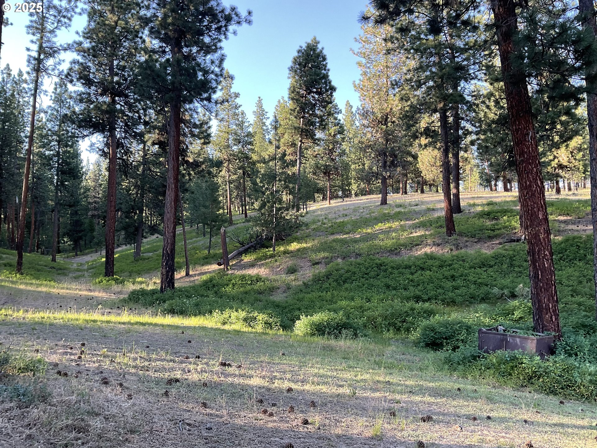 39798 Bear Gulch Road Baker City, OR 97814 - Photo 19 of 46