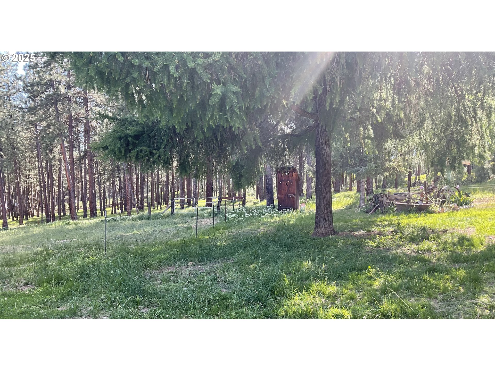 39798 Bear Gulch Road Baker City, OR 97814 - Photo 21 of 46