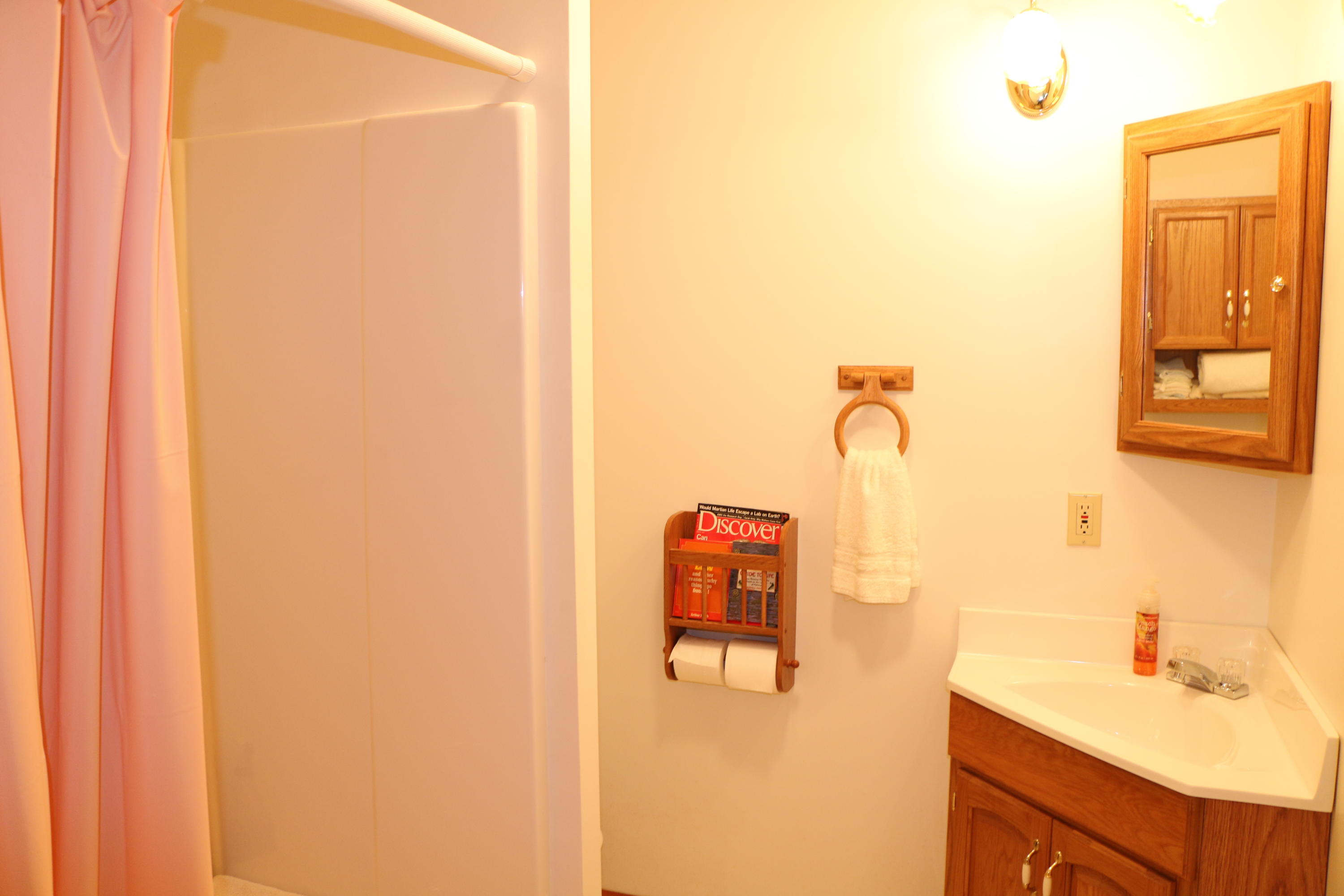 284 Ridgeland Point Sharps Chapel, TN 37866 - Photo 8 of 38 8