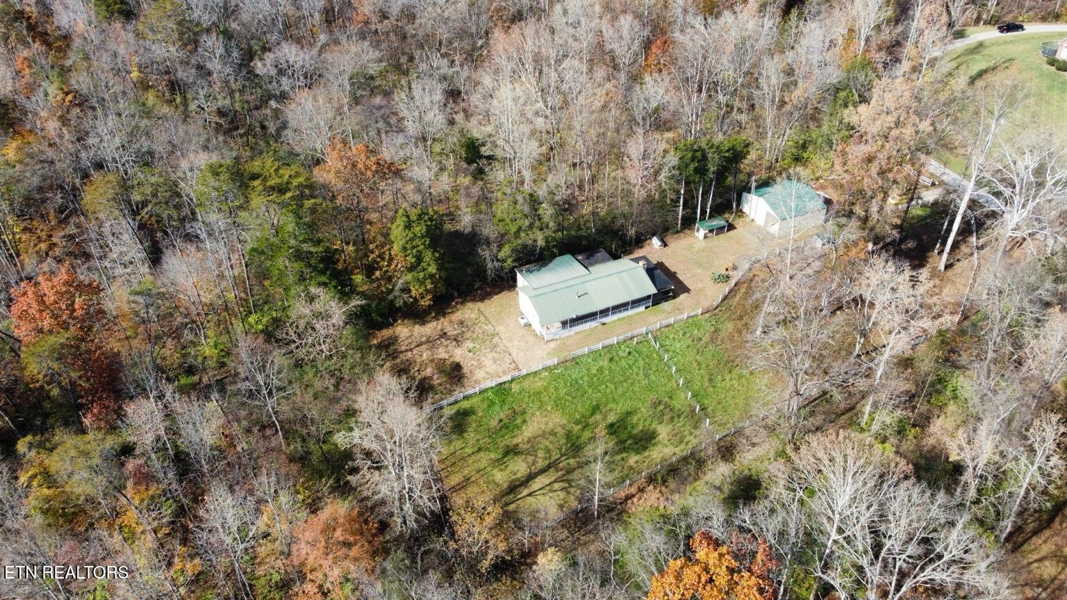 505 McKinney Road Blaine, TN 37709 - Photo 54 of 57 01ADC62F-7B77-40A9-A285-9D7BCD470446