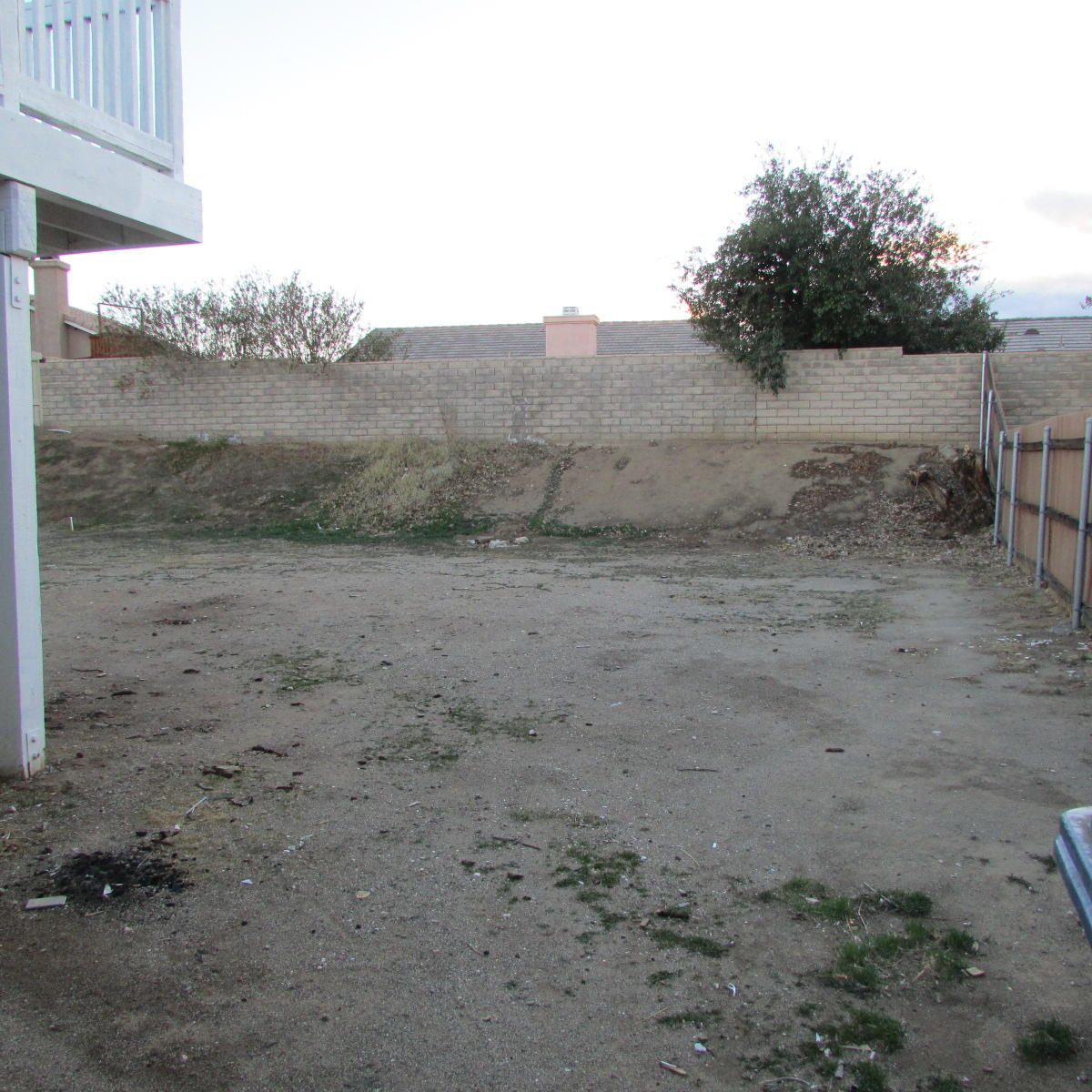 1832 Ivory Avenue Palmdale, CA 93550 - Photo 50 of 52 a view of a dry yard with wooden fence