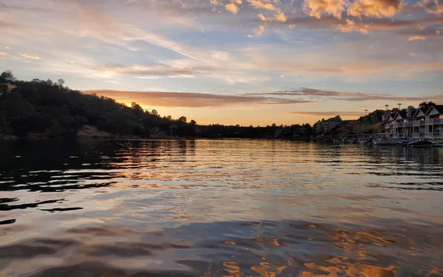 a view of a lake in middle of forest