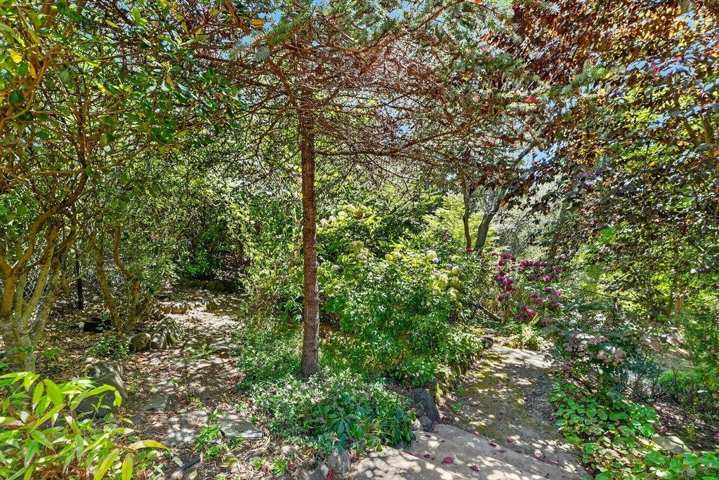 324 Jaunell Road Aptos, CA 95003 - Photo 41 of 55 Gallery Image 41