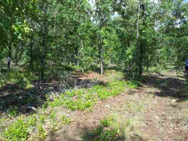 0 Tower Road Perry, FL 32348 - Photo 2 of 3 Gallery Image 2