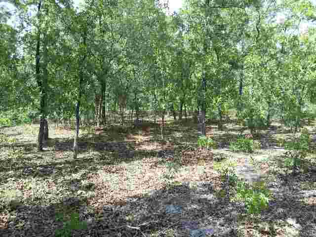 0 Tower Road Perry, FL 32348 - Photo 3 of 3 Gallery Image 3