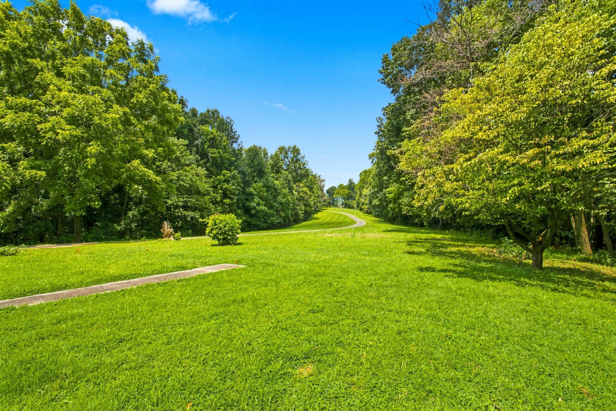 1448 Williams Hollow Road Pulaski, TN 38478 - Photo 2 of 70 Gallery Image 2