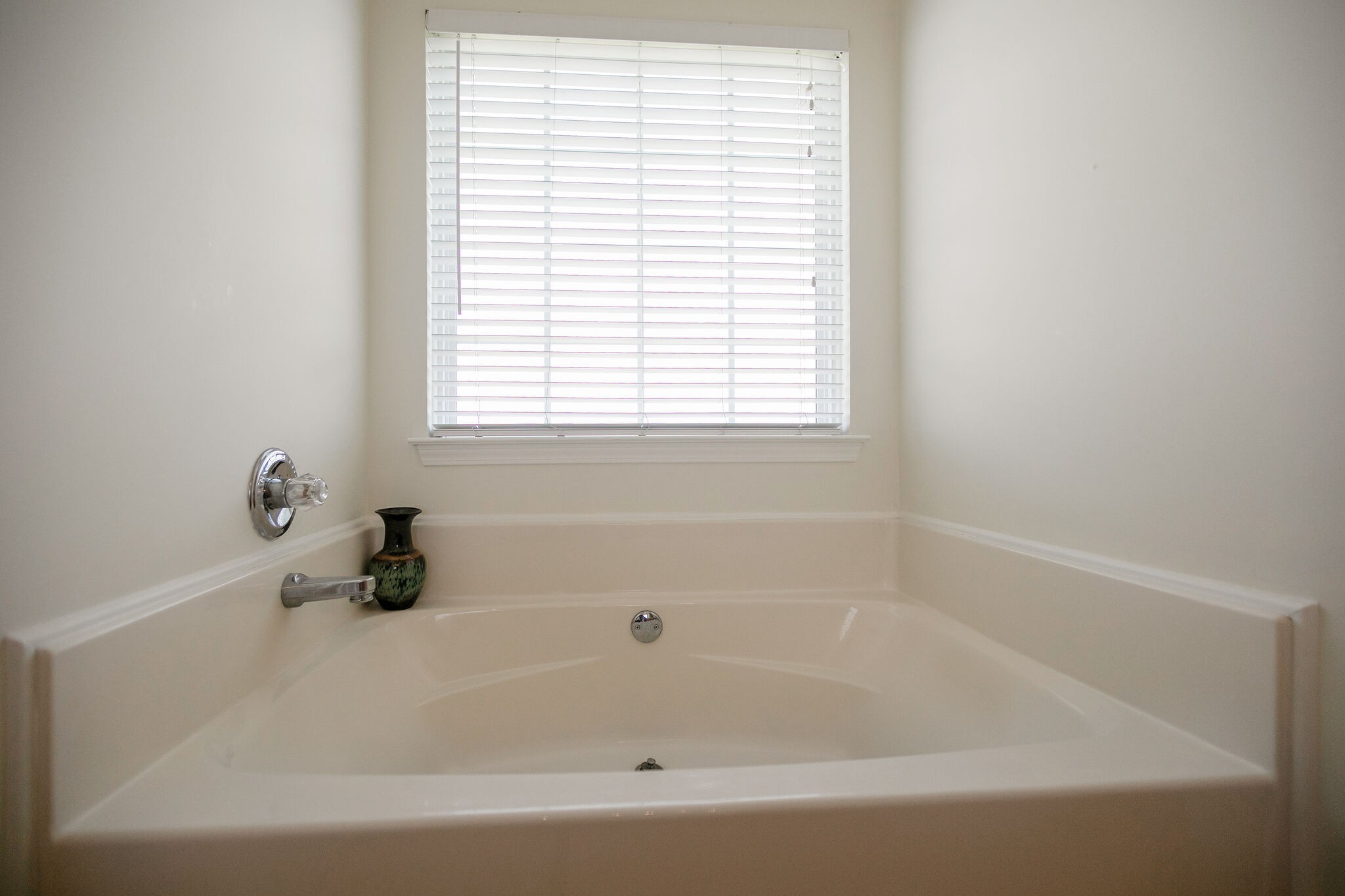 1003 Patterson Street Spring Hill, TN 37174 - Photo 18 of 27 a white bath tub sitting next to a window