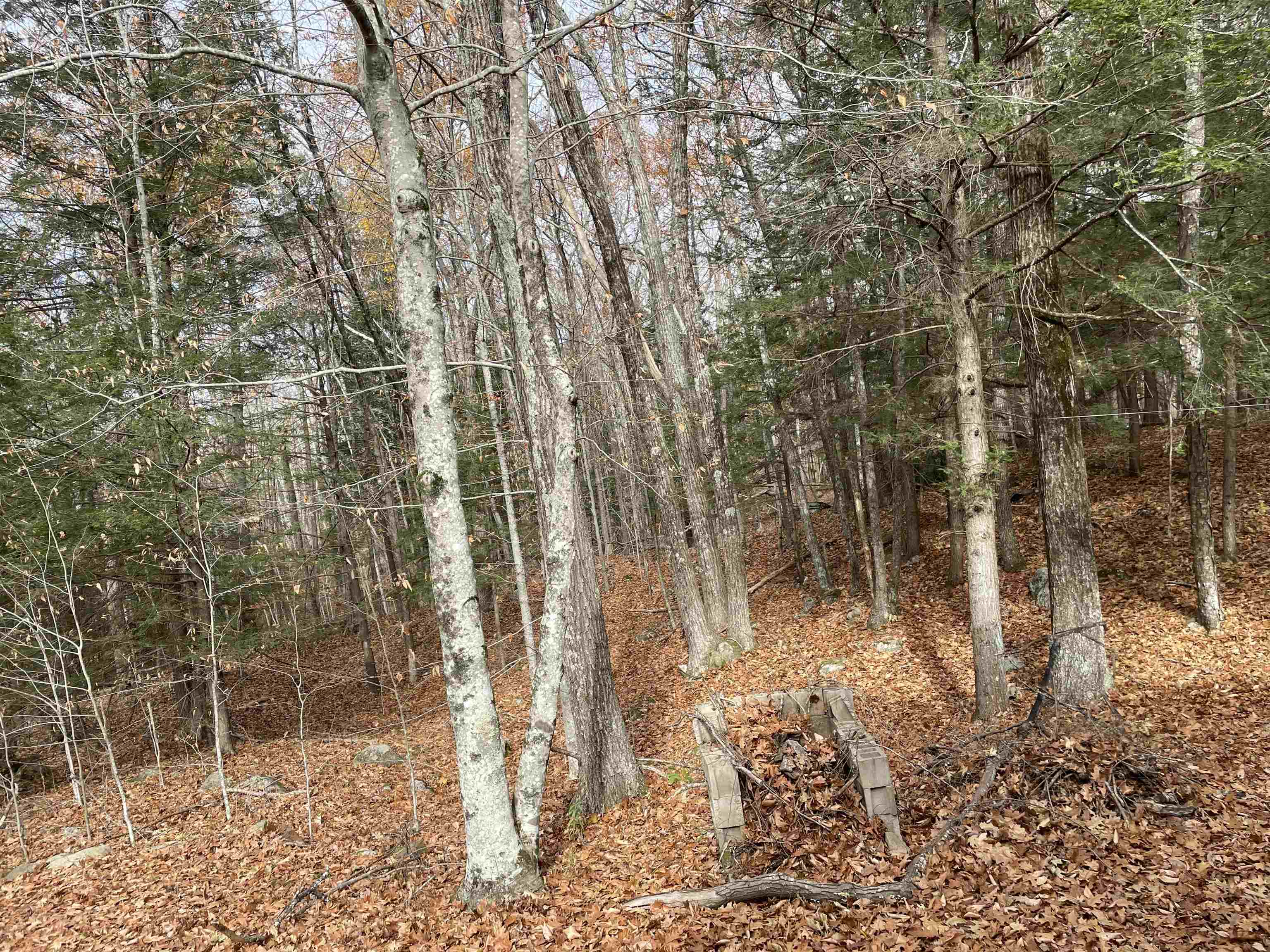 363 Strafford Road Strafford, NH 03884 - Photo 34 of 58