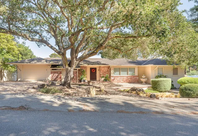a view of a house with a tree in it