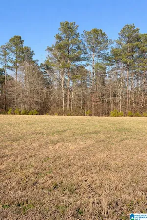 $75,000 | Lot 1 County Road 25, Unit 1, Jemison, AL 35085