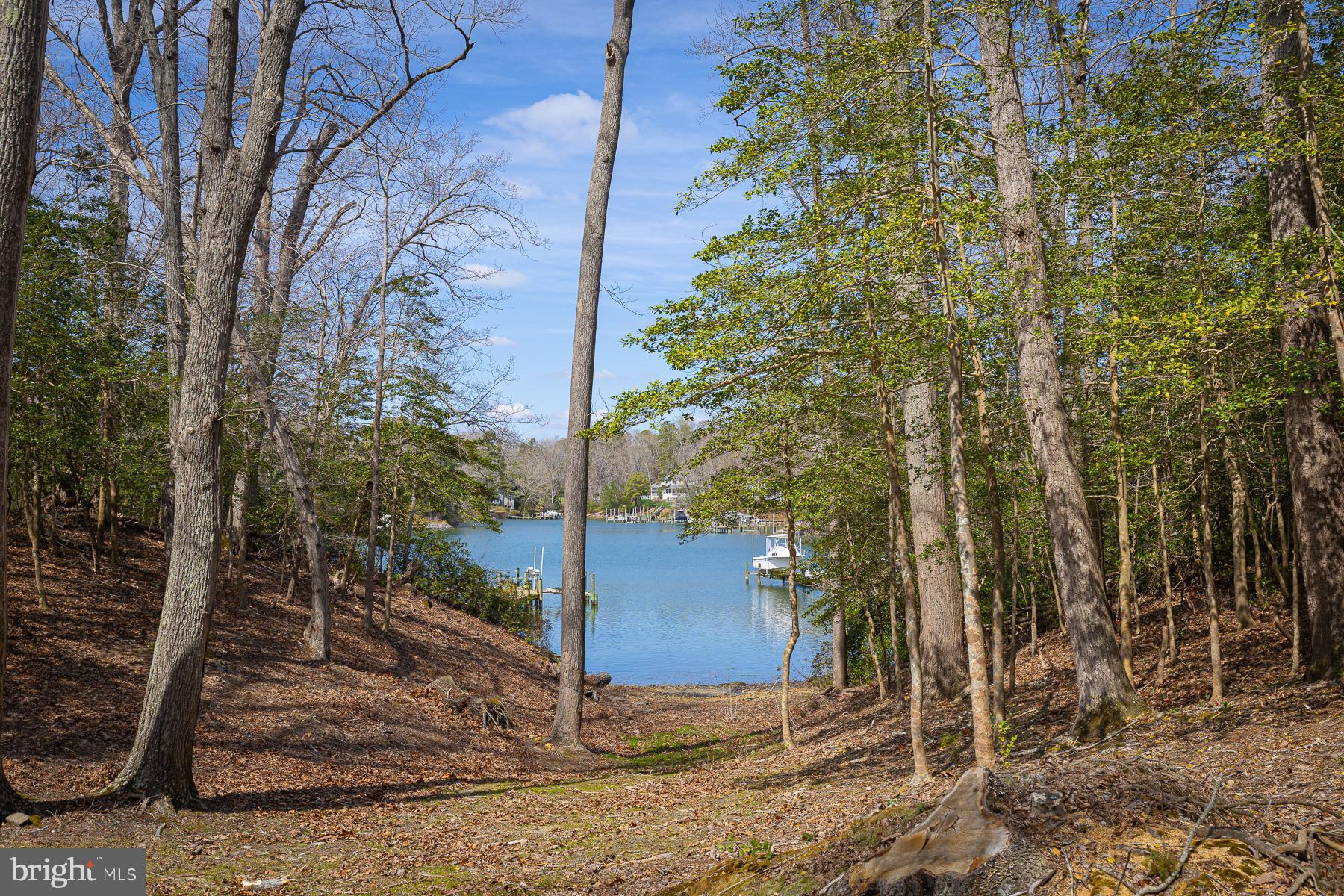 Tm27223 C York Road Irvington, VA 22480 - Photo 5 of 7 a view of a backyard