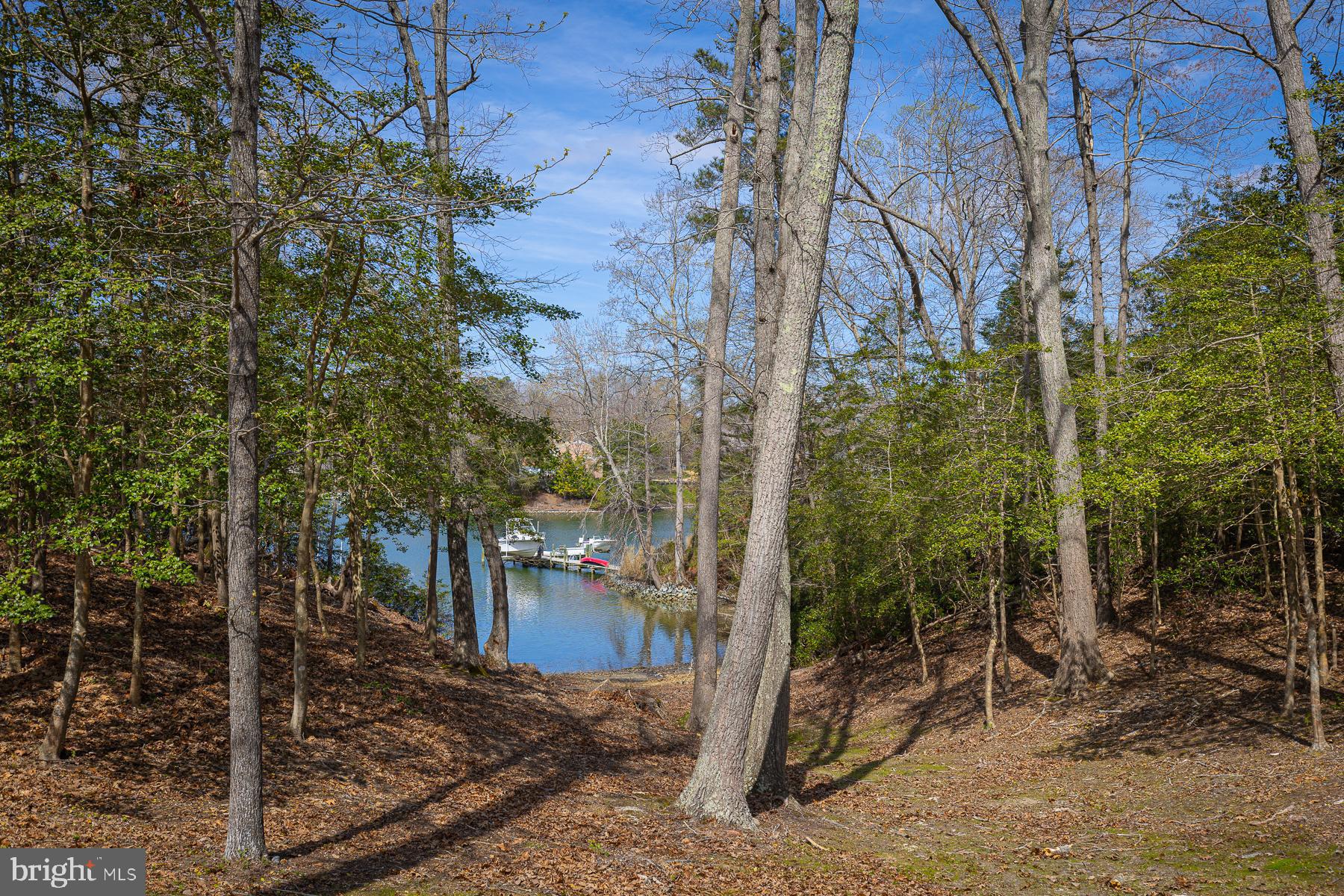 Tm27223 C York Road Irvington, VA 22480 - Photo 6 of 7 a view of a park with large trees