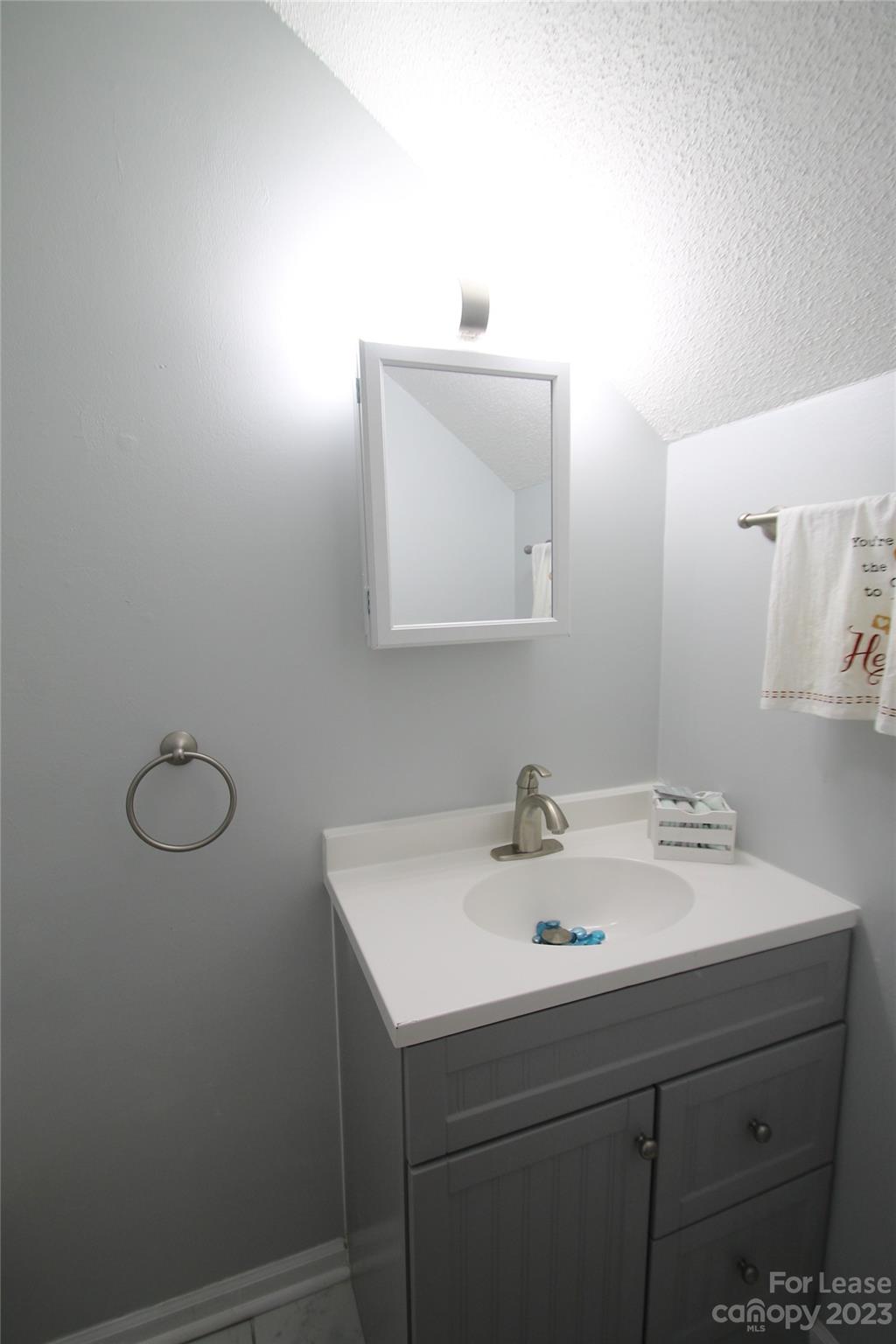 1788 Ebenezer Road Rock Hill, SC 29732 - Photo 16 of 30 a bathroom with a sink vanity and a mirror