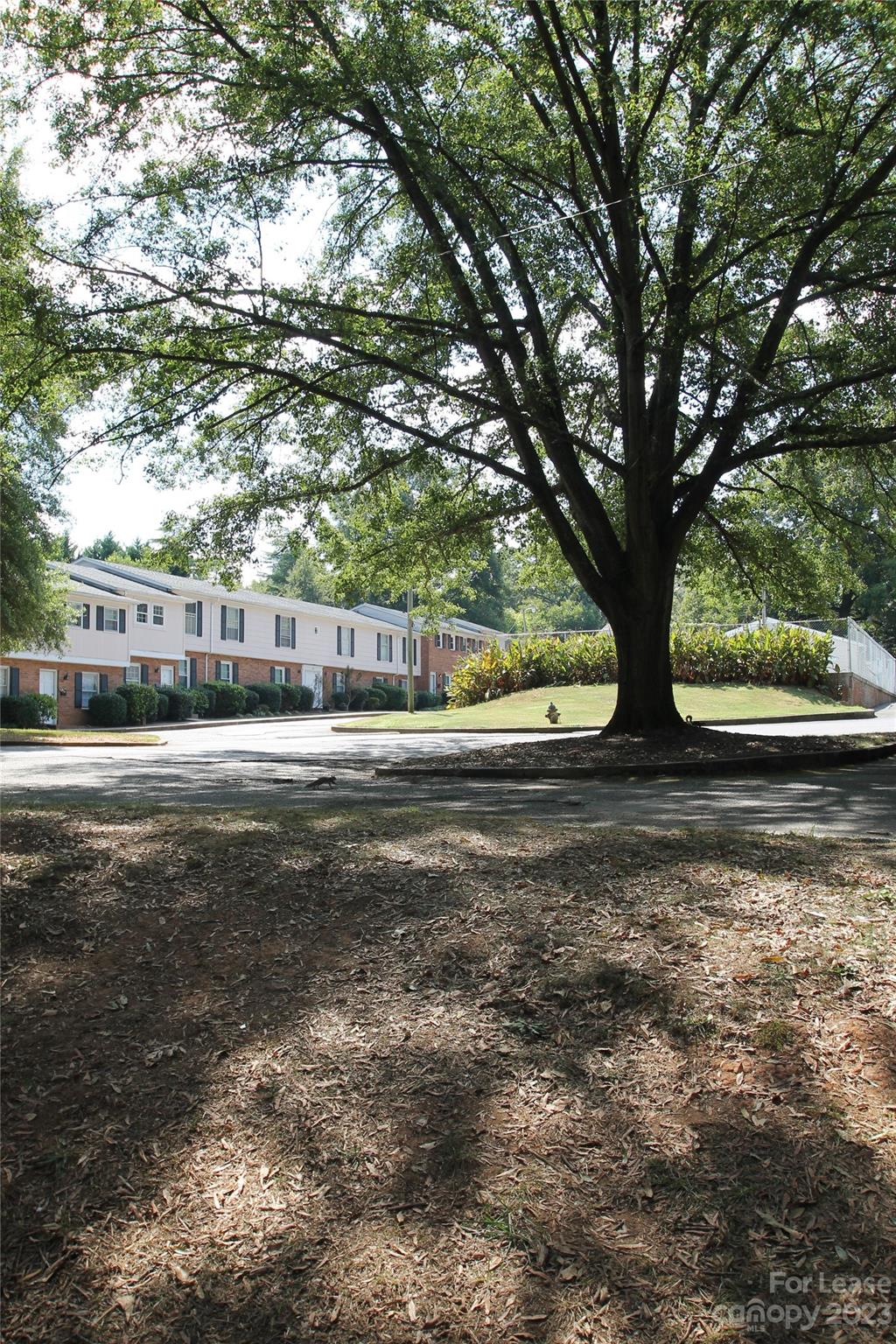 1788 Ebenezer Road Rock Hill, SC 29732 - Photo 30 of 30 a view of dirt yard with a large tree