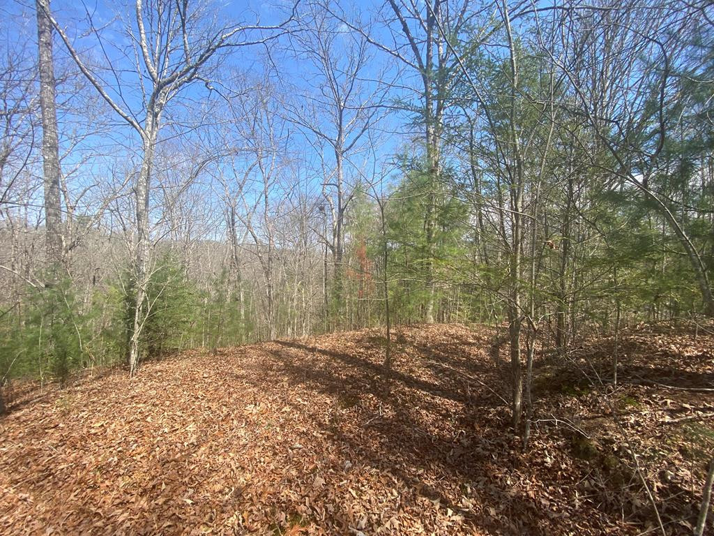 0 Hilltop Road Murphy, NC 28906 - Photo 1 of 16 Main View