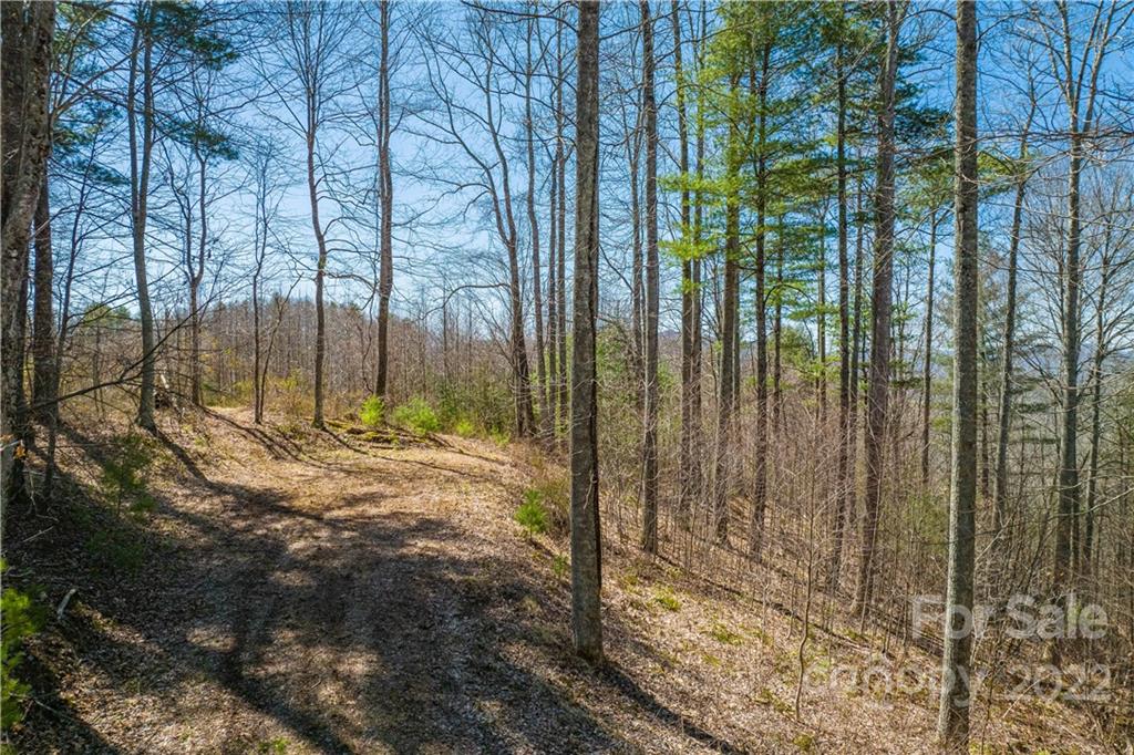 0 Saylor Lake Road Bakersville, NC 28705 - Photo 20 of 28