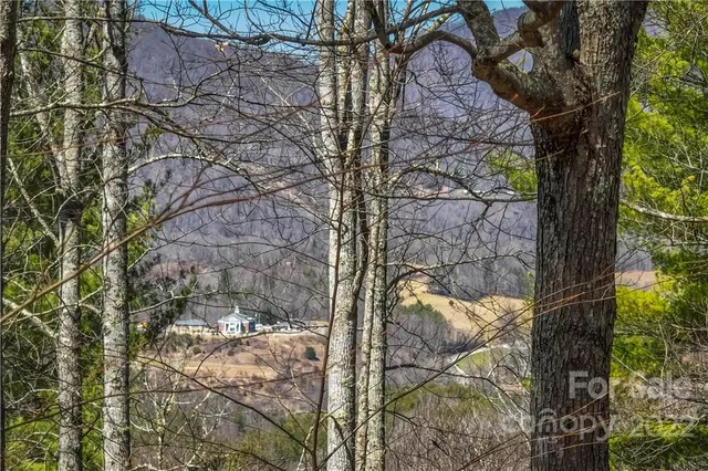 $349,000 | 0 Saylor Lake Road, Bakersville, NC 28705