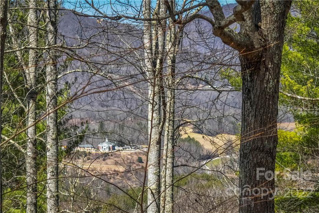 0 Saylor Lake Road Bakersville, NC 28705 - Photo 21 of 28