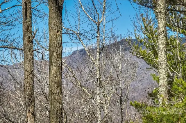 $349,000 | 0 Saylor Lake Road, Bakersville, NC 28705