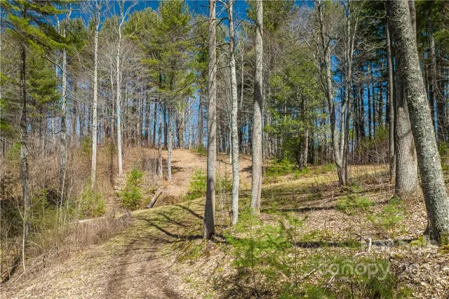 $349,000 | 0 Saylor Lake Road, Bakersville, NC 28705