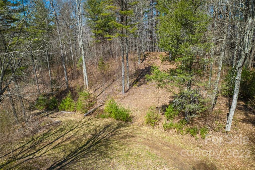 0 Saylor Lake Road Bakersville, NC 28705 - Photo 24 of 28