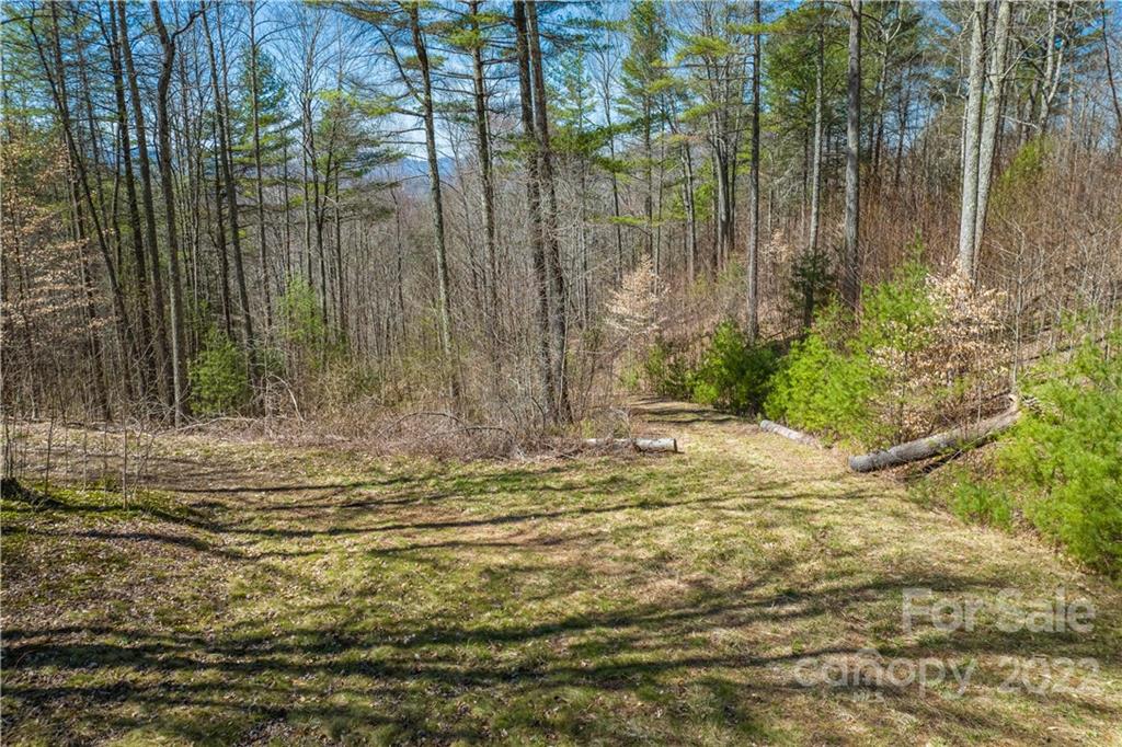 0 Saylor Lake Road Bakersville, NC 28705 - Photo 25 of 28