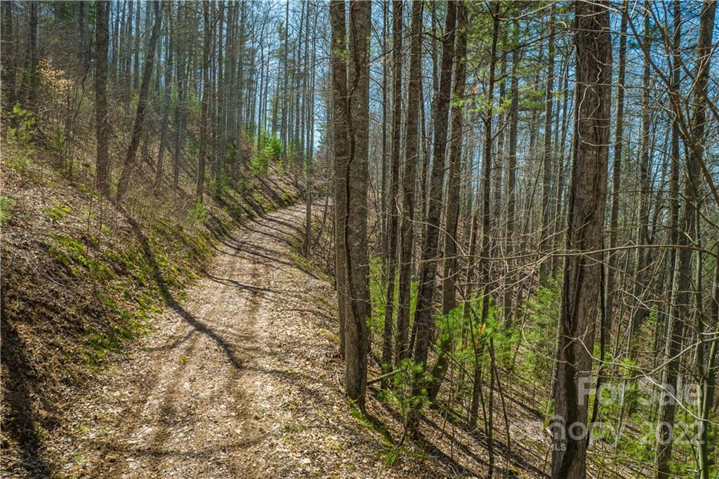 0 Saylor Lake Road Bakersville, NC 28705 - Photo 26 of 28