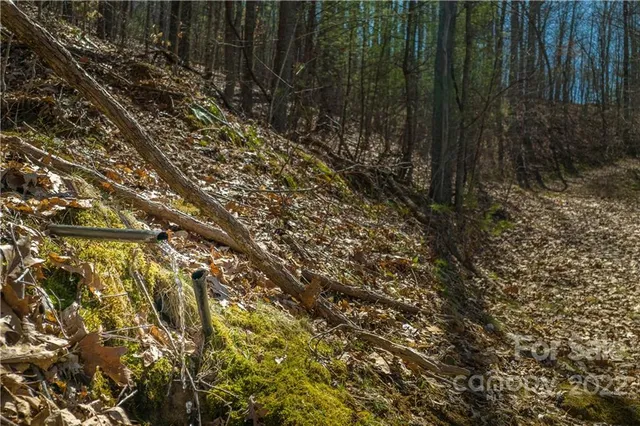 $349,000 | 0 Saylor Lake Road, Bakersville, NC 28705