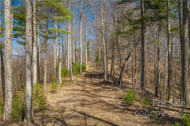 $349,000 | 0 Saylor Lake Road, Bakersville, NC 28705