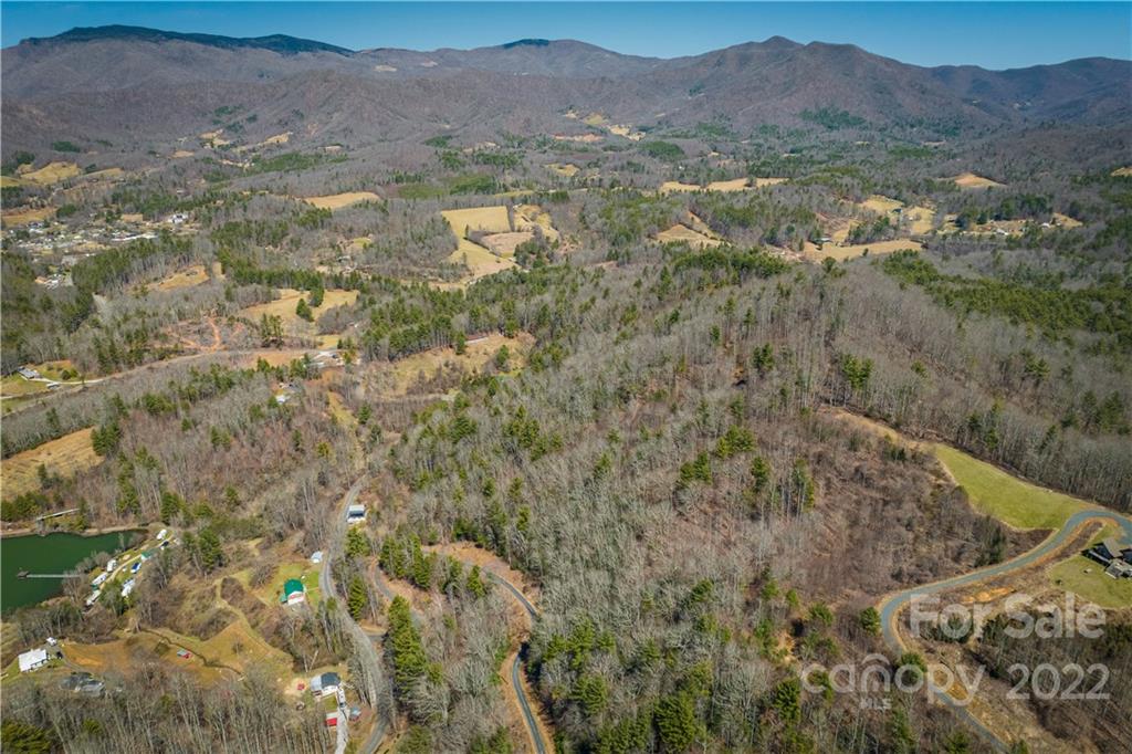 0 Saylor Lake Road Bakersville, NC 28705 - Photo 9 of 28