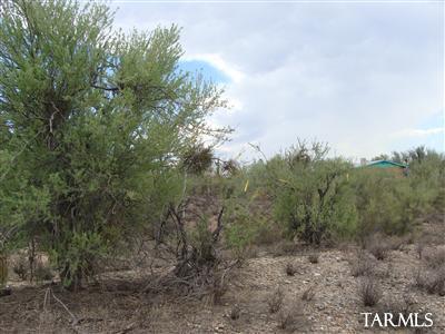 0 North Blue Bonnet Road Tucson, AZ 85742 - Photo 4 of 12