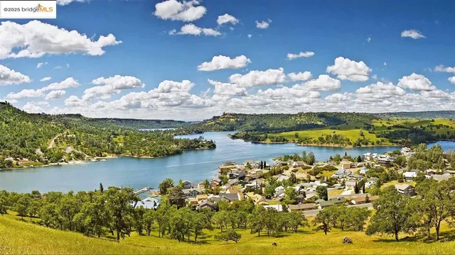 a view of a lake with a forest